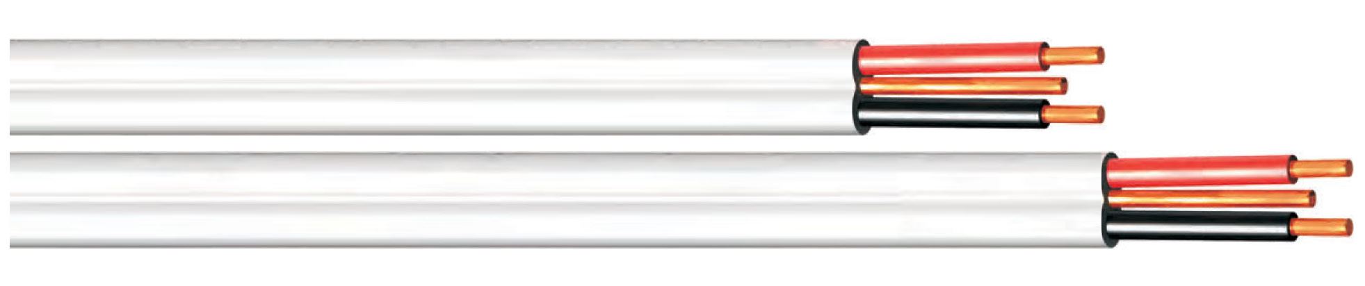 0001456_flat-twin-and-earth-40mm-2-core